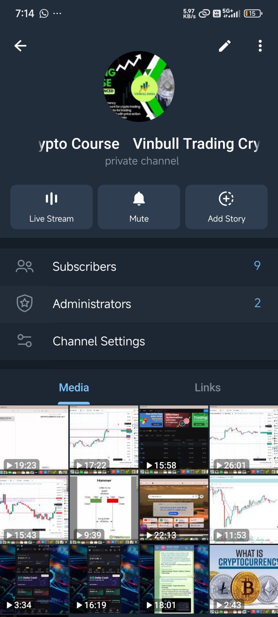 Vinbull Trading Academy crypto course 