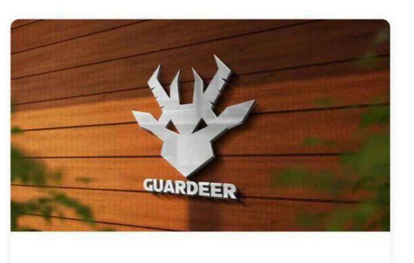 Guardeer Cartel Mentorship Course