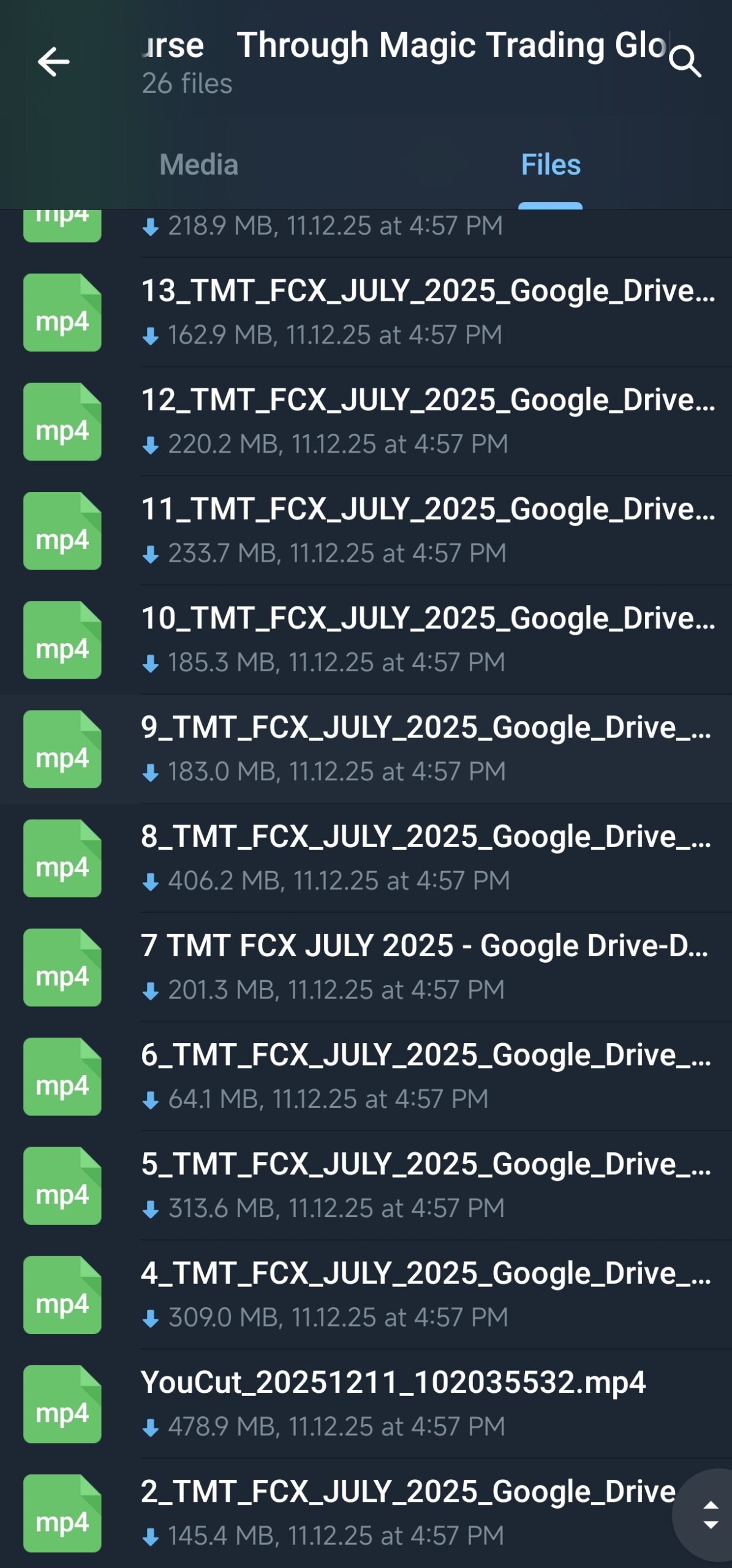 TMT : Through Magic Trading Global FCC Course