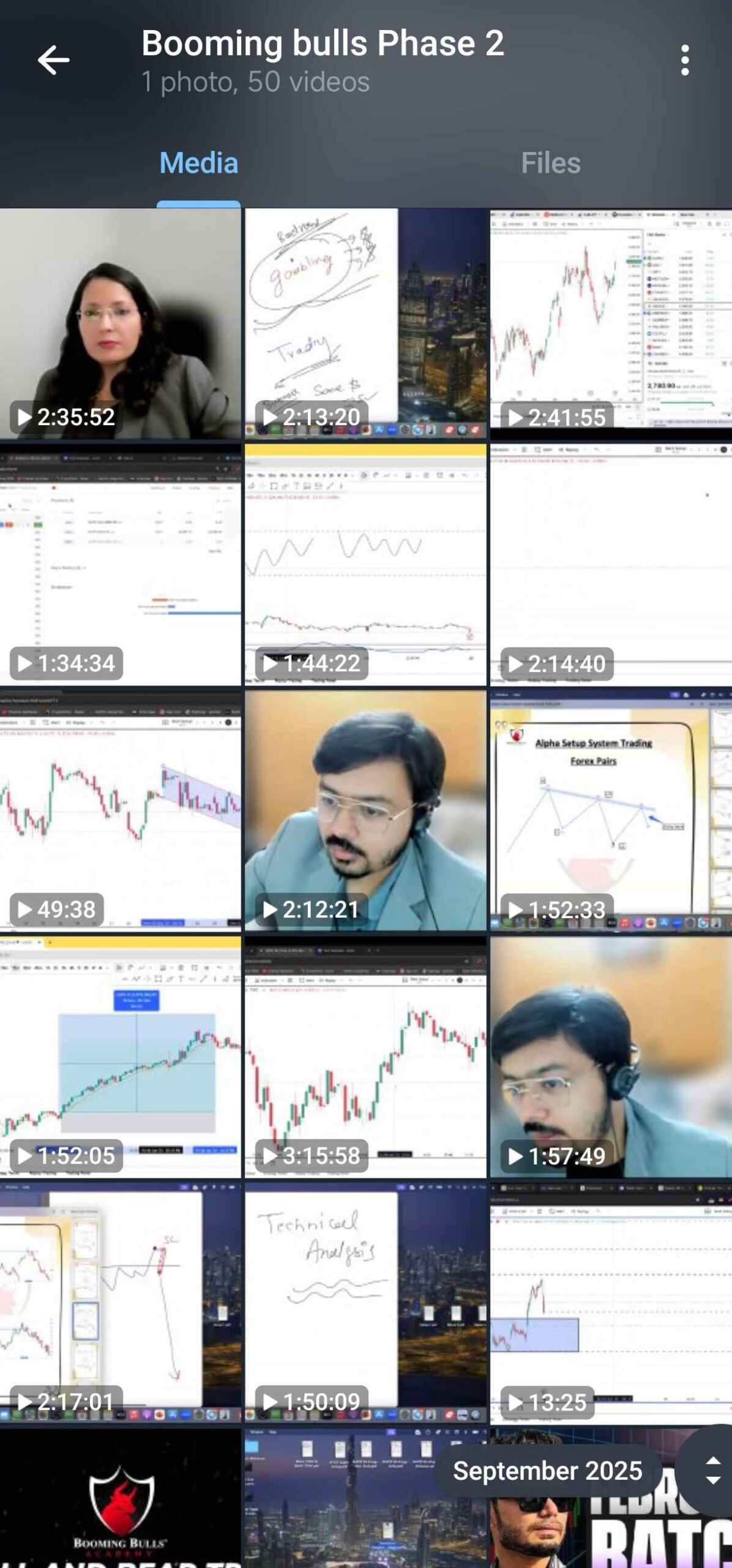 Booming bulls Course Download 