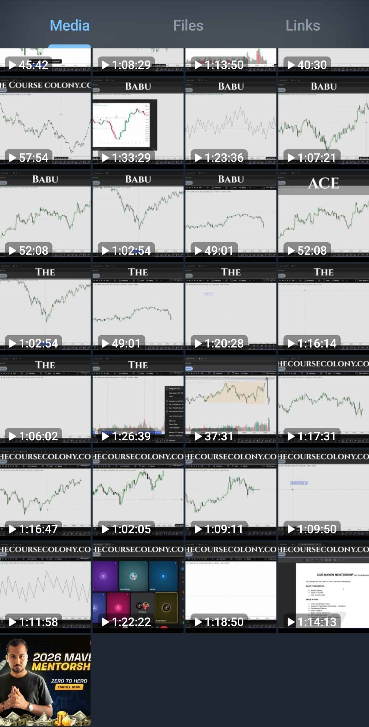 Trade Maven Mentorship 2026 