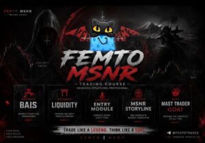 Femto Msnr Full Course Download